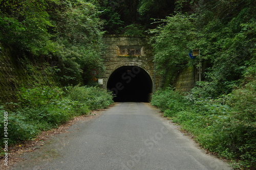 山奥のトンネルの入口