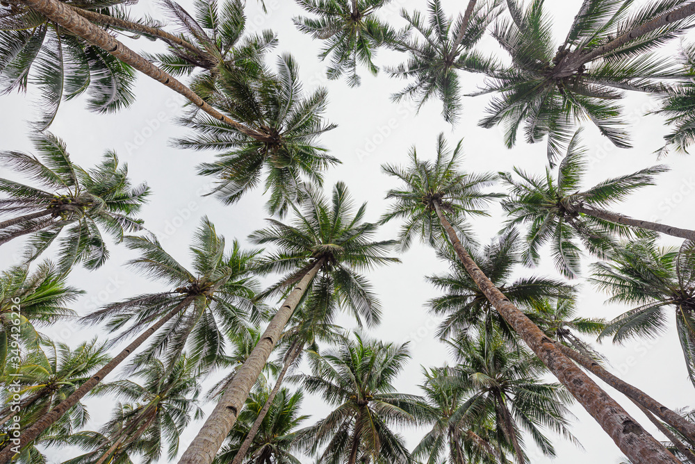 Siargao Island The Pilippines Siargao Island The Pilippines