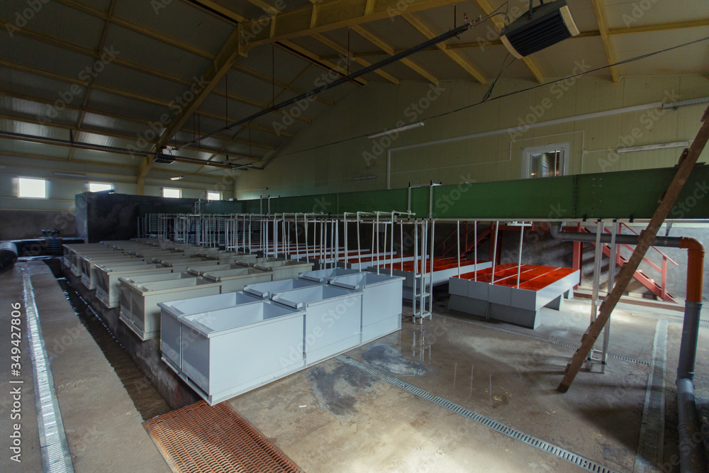 Fish-breeding factory in the Far East of Russia. Huge workshop with tanks for breeding Far Eastern chum salmon in the Primorsky region