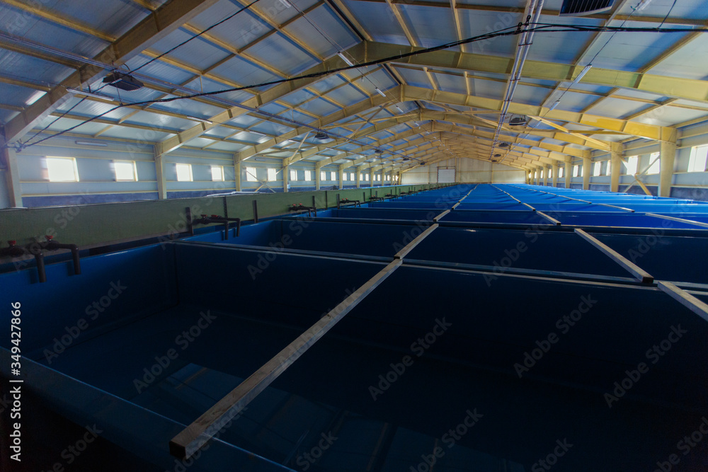 Foto de Fish-breeding factory in the Far East of Russia. Huge workshop ...