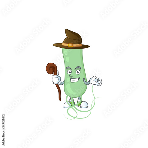sneaky and tricky Witch aquificae cartoon drawing concept
