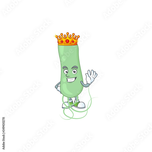 A charming King of aquificae cartoon character design with gold crown