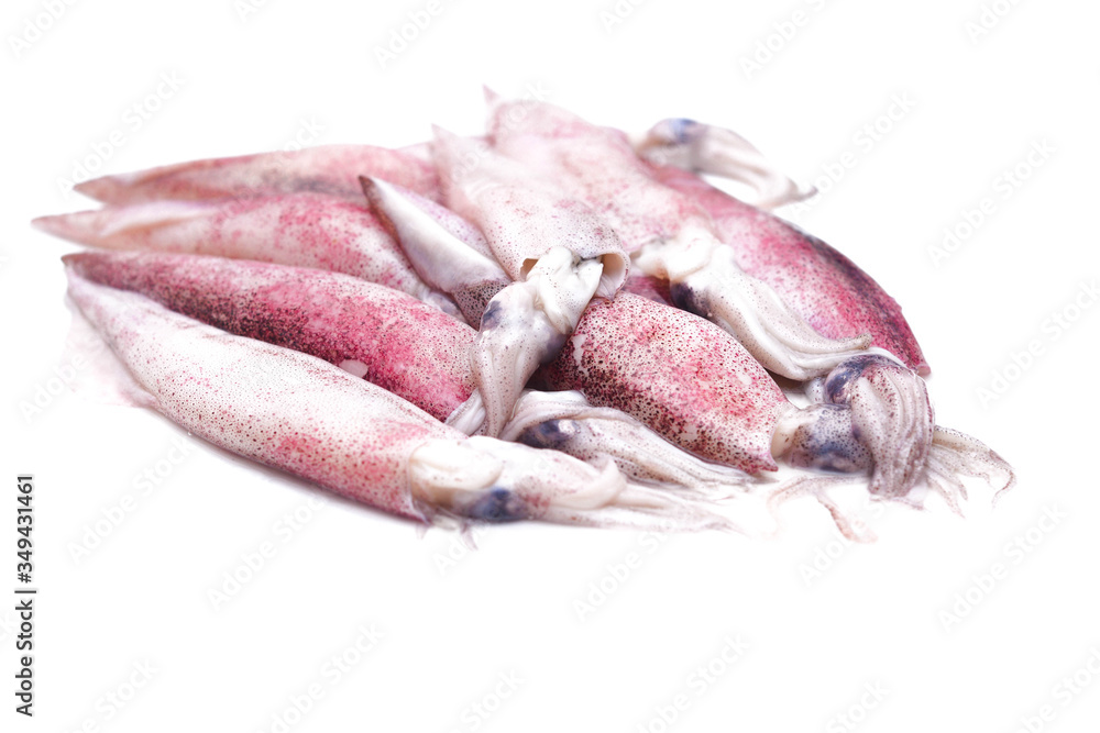Whiteraw squid over white background. Selective focus image. Whiteraw squid over white background. Selective focus image.