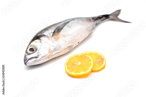 Close up torpedo scad fish with lemon slices over white background.