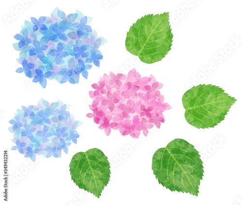 紫陽花 あじさい 花と葉のパーツ 水彩風イラスト素材 青 水色 ピンク Ilustracion De Stock Adobe Stock