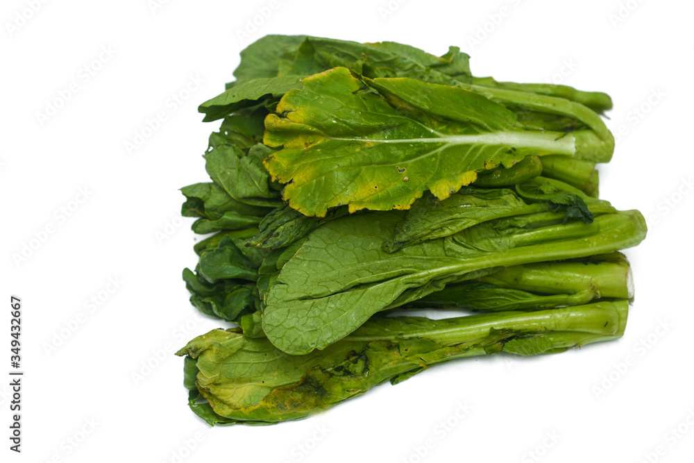Close up raw mustard vegetables over white background from front view. Isolated image. Close up raw mustard vegetables over white background from front view. Isolated image.