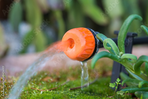 Quadro su tela Micro drip irrigation system