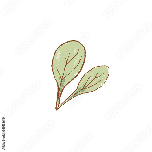 Bunch of fresh green raw spinach leaves close up. isolated icon. Spring Rareripes. hastings, farm market, Vector illustration.