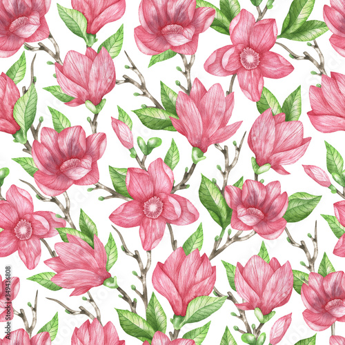 Pattern pink magnolia