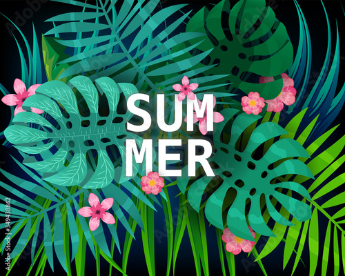 Summer tropical leaves exotical plants palm jungle leaf