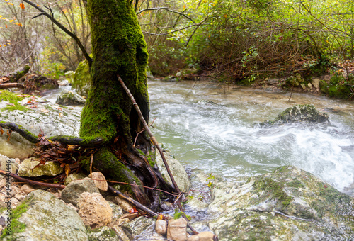 waterfall brook in matese park morcone sassinoro photo