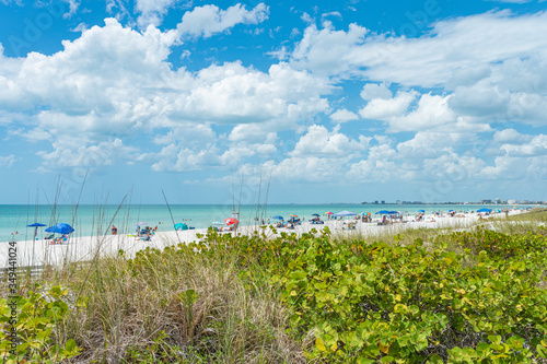 Beach umbrellas