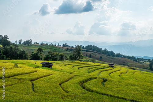 Rice terraces of hill tribe people in Mae Chaem District Chiang Mai is becoming golden  looks refreshing and relaxed.