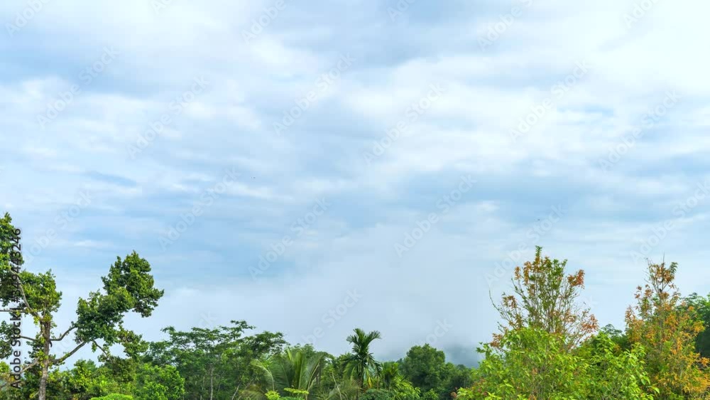 Relax bright morning and ease your eyes, Mist and clouds covered the morning mountains on the Narathiwat mountain, Thailand time lapse 4k. Relax bright morning and ease your eyes, Mist and clouds covered the morning mountains on the Narathiwat mountain, Thailand time lapse 4k.