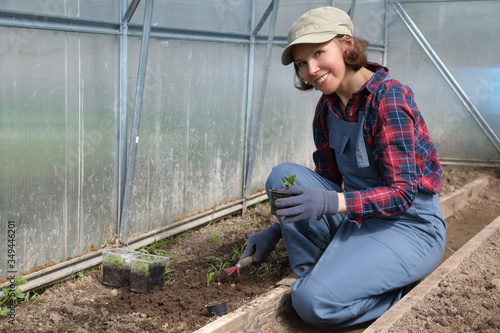 Happy and positive young adult woman plants seedlings in the ground in a greenhouse