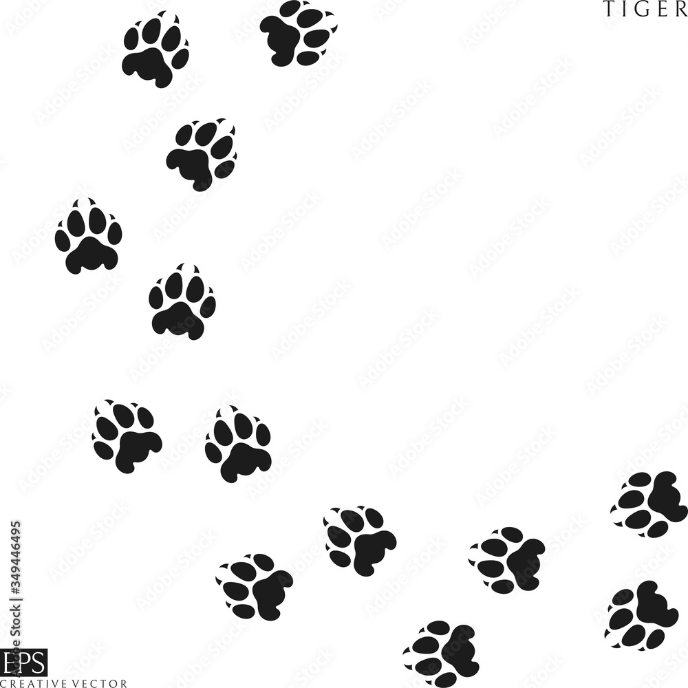 Tiger paw prints. Silhouette. Isolated paw prints on white background - obrazy, fototapety, plakaty 