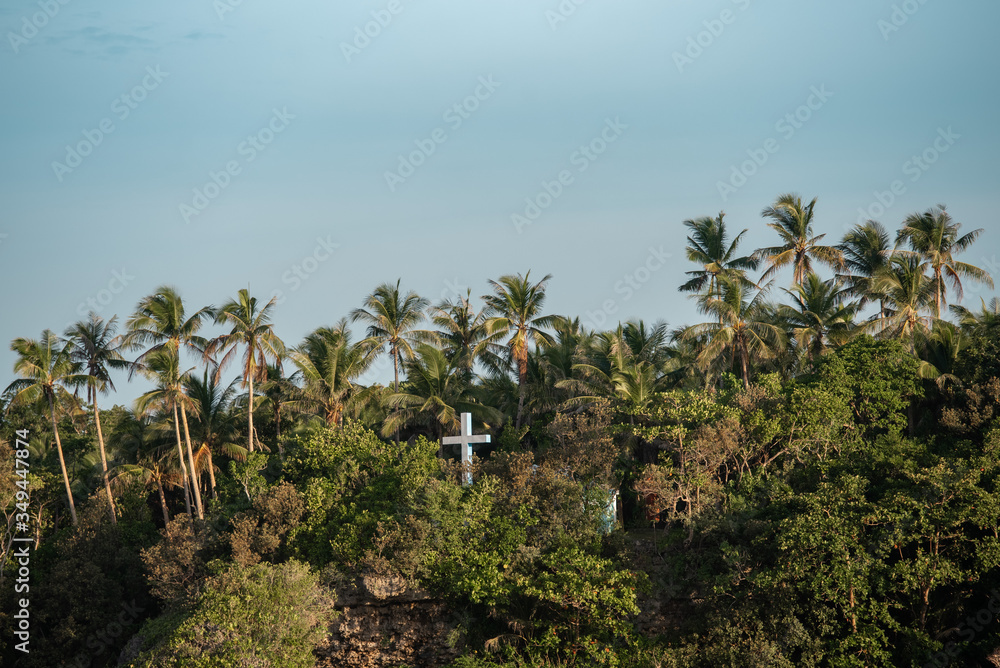 Fototapeta premium Siargao Island Palms Beach Ocean