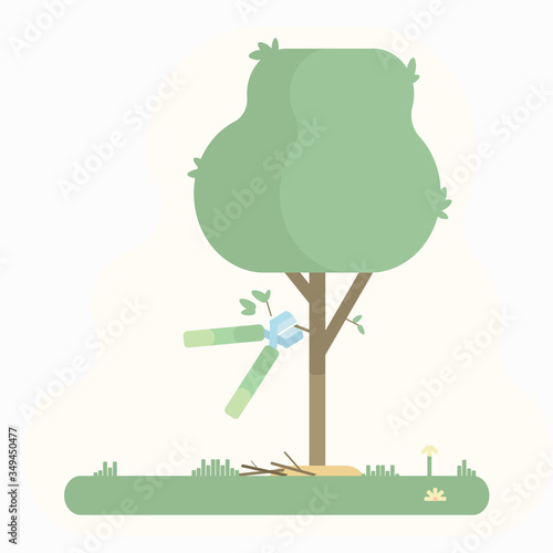 Secateurs cut unneeded branches from a tree..Caring for a tree by cutting off excess branches with secateurs.
