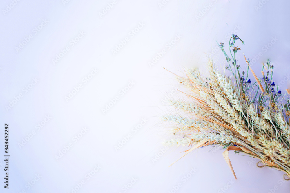 Fototapeta premium The dry bouquet lays on the lilac background with different fall flowers autumn