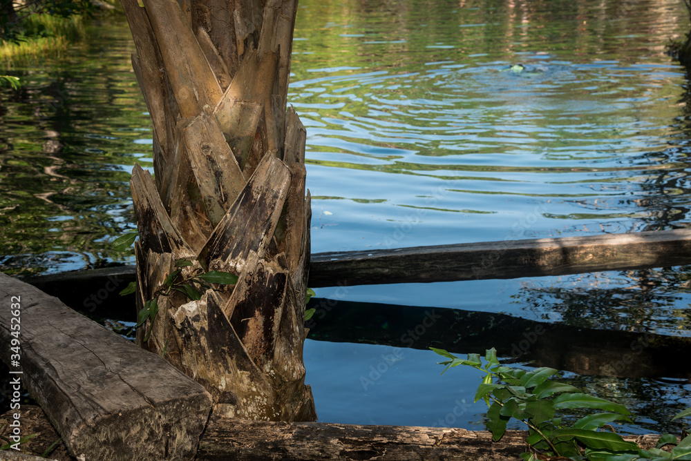 A cenote is a natural pit, or sinkhole, resulting from the collapse of limestone bedrock that exposes groundwater underneath. Especially associated with the Yucatán Peninsula of Mexico A cenote is a natural pit, or sinkhole, resulting from the collapse of limestone bedrock that exposes groundwater underneath. Especially associated with the Yucatán Peninsula of Mexico