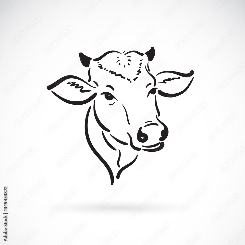 Vector of a cow head design on white background. Farm Animal. Cows logos or icons. Easy editable layered vector illustration.