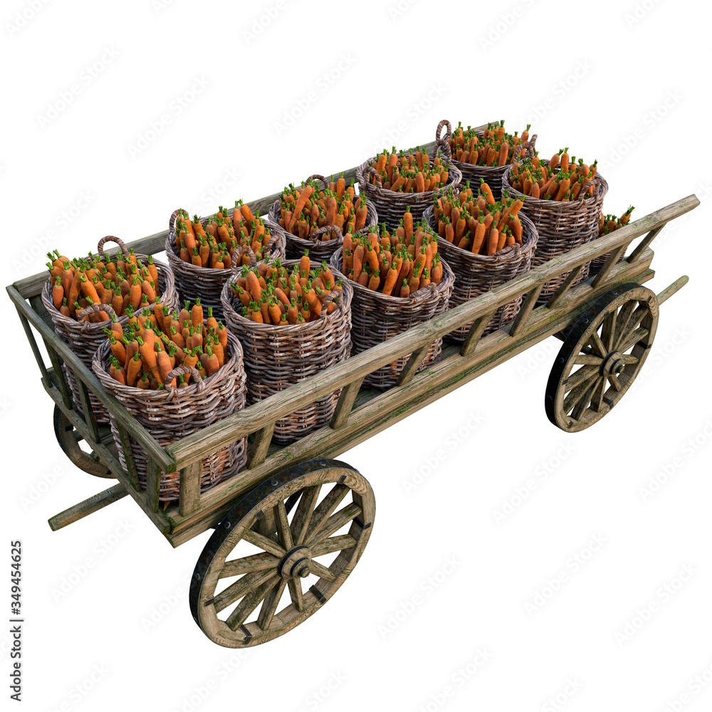 Harvest carrots in a cart
