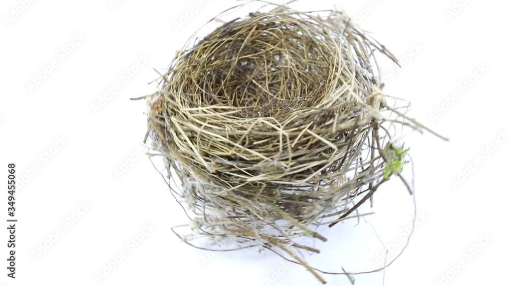 small bird nest skillfully built with patience intertwining many twigs as it turns on itself on a white background small bird nest skillfully built with patience intertwining many twigs as it turns on itself on a white background