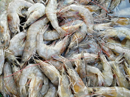 Close-up of fresh raw prawns, top view. Fresh seafood