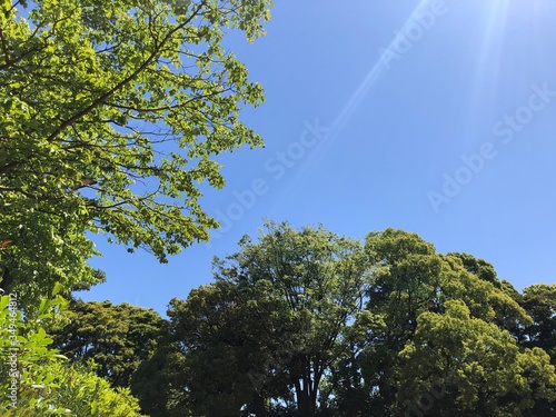 新緑の風景