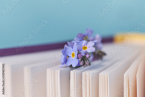 macro photo open books with a spring flowers nostalgic romantic mood concept photo