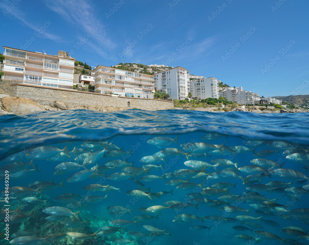 Spain coastline with buildings in Roses town and a school of fish underwater, Mediterranean sea, Costa Brava, Catalonia, split view over and under water surface