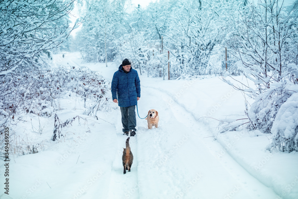A man with a dog on a leash walks along the road in the winter forest