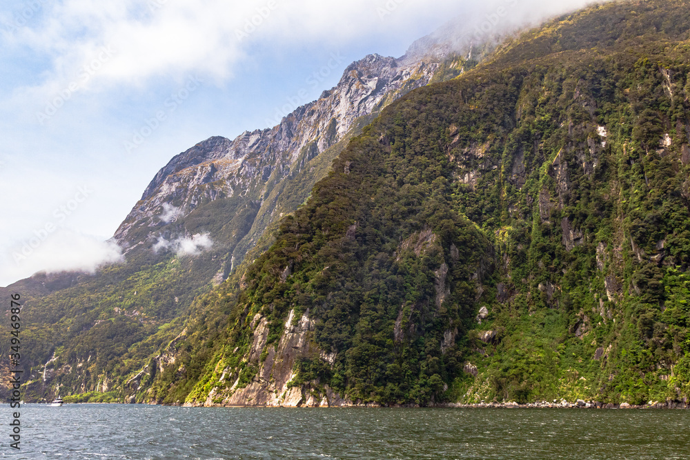 Sheer cliffs overgrown with greenery along the banks of the fjord. New Zealand Sheer cliffs overgrown with greenery along the banks of the fjord. New Zealand