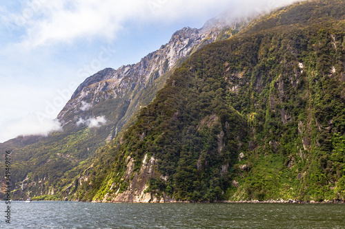 Sheer cliffs overgrown with greenery along the banks of the fjord. New Zealand