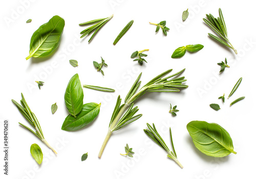 Fototapet various herbs on white background, top view