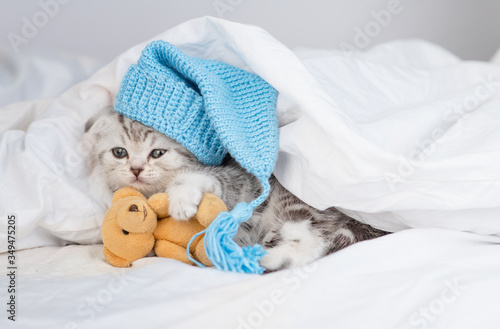 A small cute striped Scottish breed kitten lies on a bed under a blanket in a blue cap hugging a teddy bear