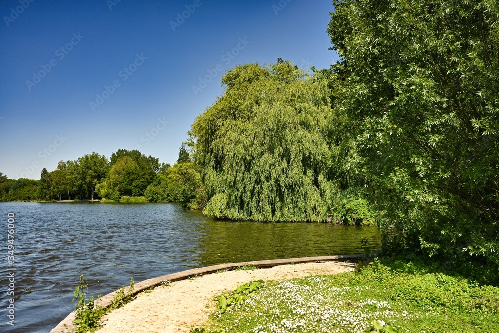 Bords de l'étang