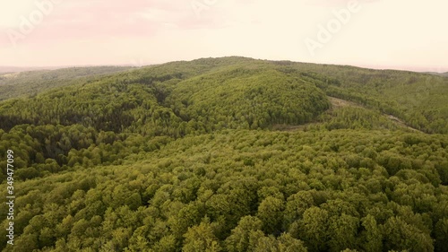 on the nature of the mountain forest rocks 
Dovbush rocks