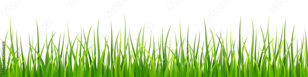Fototapeta premium Vector decorative seamless pattern with shaded green grass leaves on white background