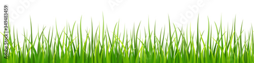 Vector decorative seamless pattern with shaded green grass leaves on white background