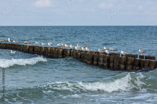 Baltic Sea Summer Beach Impression