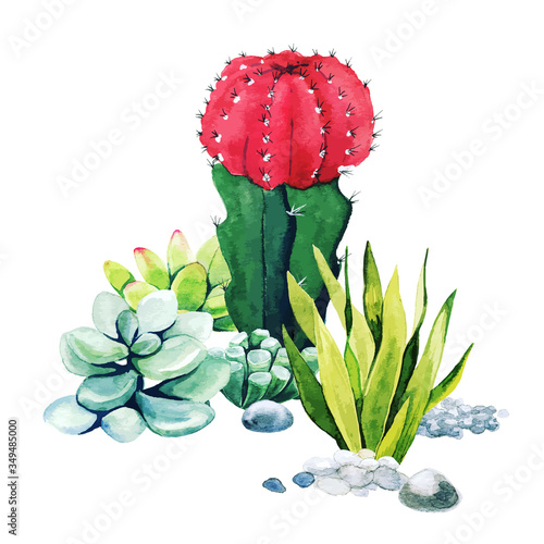 Composition of watercolor cactus plants and succulents