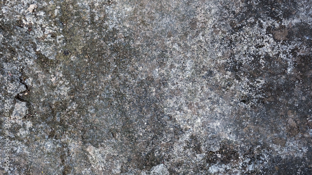 black and white texture of stone black and white texture of stone