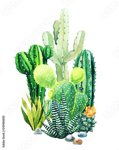 Composition of watercolor cactus plants and succulents