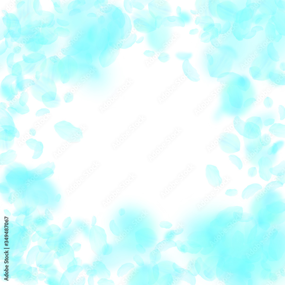 Turquoise flower petals falling down. Beauteous ro Turquoise flower petals falling down. Beauteous ro