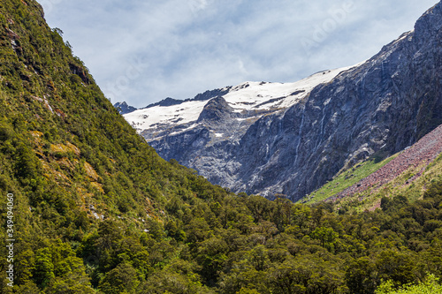 Forested valley between snowy mountains and hills. New Zealand