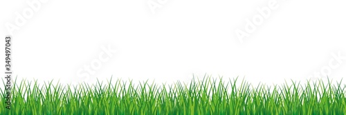 Seamless spring grass. Natural green saturated grass horizontal lawn lush ecological natural young vector foliage open green shoots beautiful clipart herbal seamless pattern.
