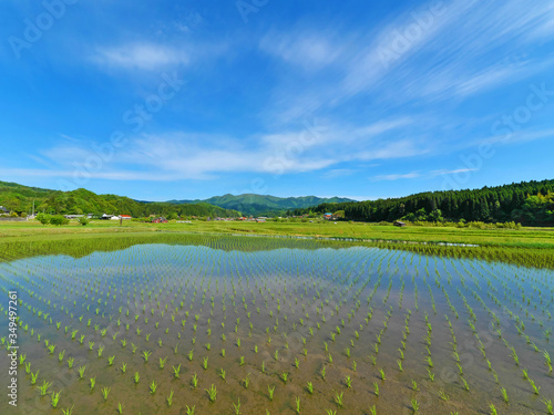 青空と田植え直後の水田