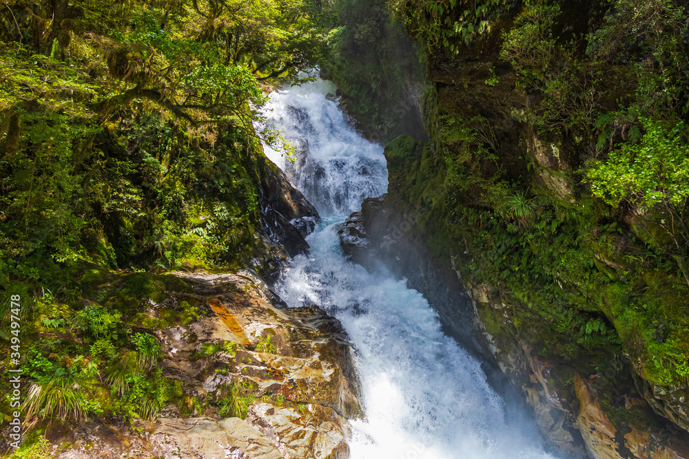 A small river in the forest. The road to Fiordland. New Zealand