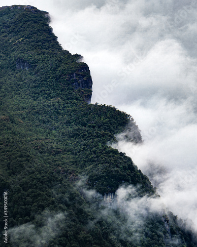 Cloudforst in patagonia. Green mountains and fog. 